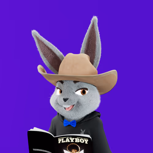 Playboyrabbitars
