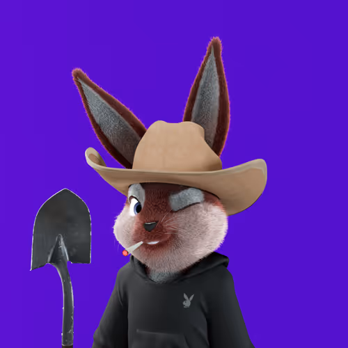 Playboyrabbitars