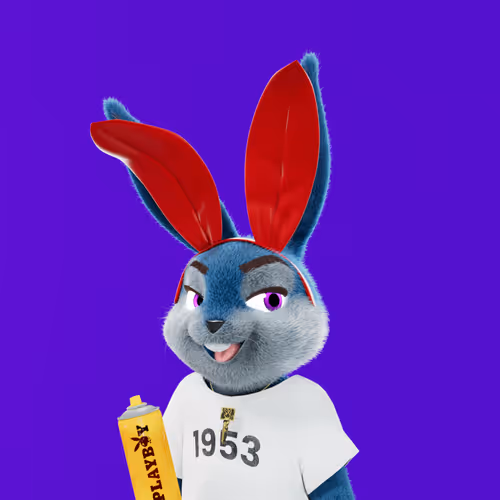 Playboyrabbitars