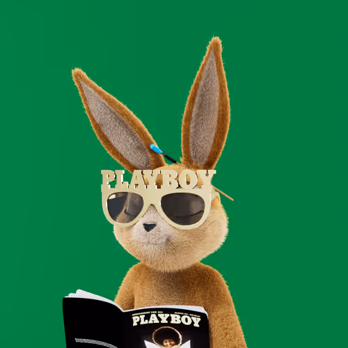 Rabbitar #6055