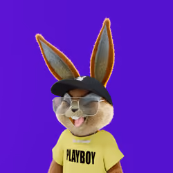 Rabbitar #3570