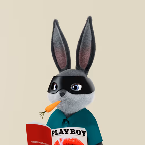 Playboyrabbitars