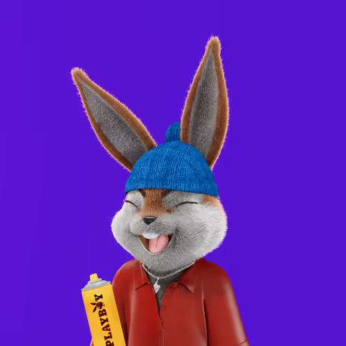 Playboyrabbitars