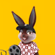 6659