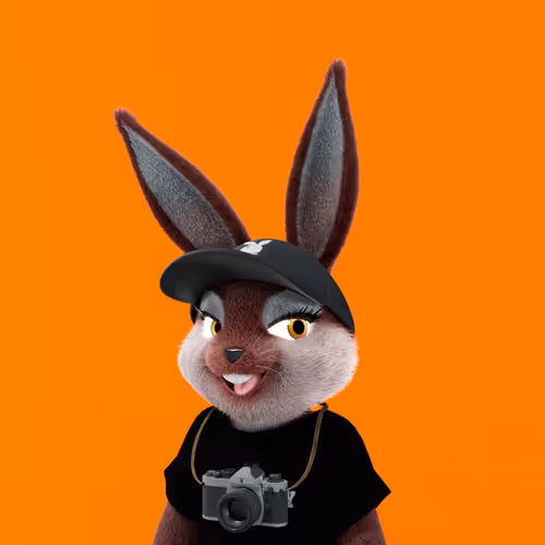 Playboyrabbitars