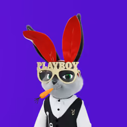 Rabbitar #2938