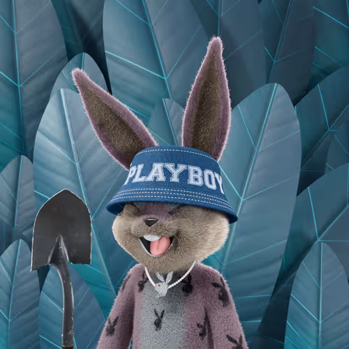 Playboyrabbitars