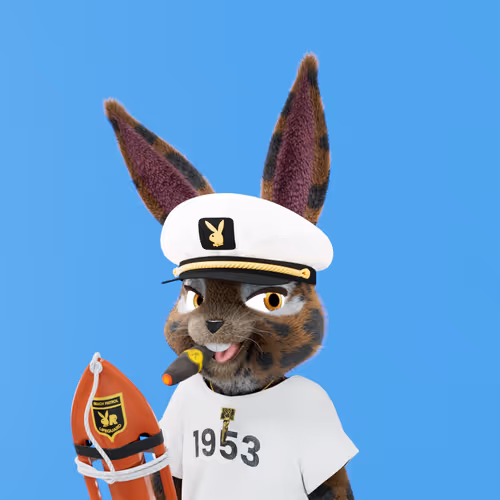 Playboyrabbitars