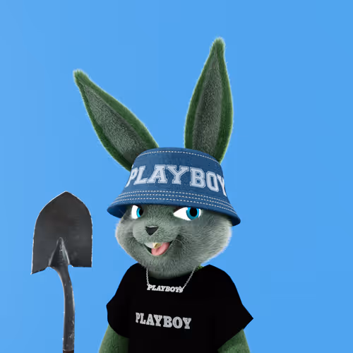 Playboyrabbitars