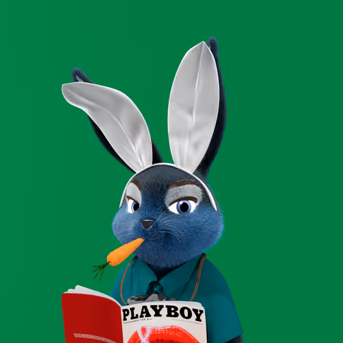 Playboyrabbitars