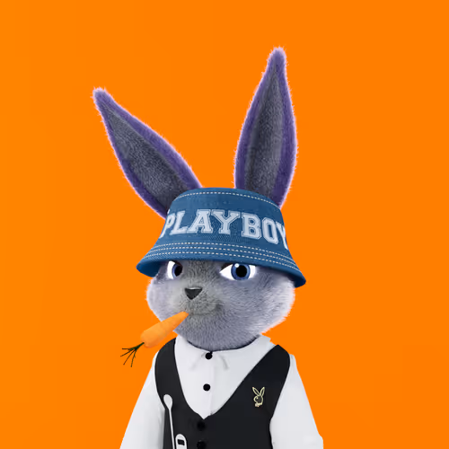 Playboyrabbitars
