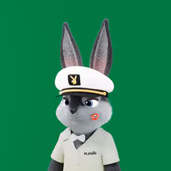 Rabbitar #3837