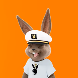 Rabbitar #2251