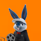 659