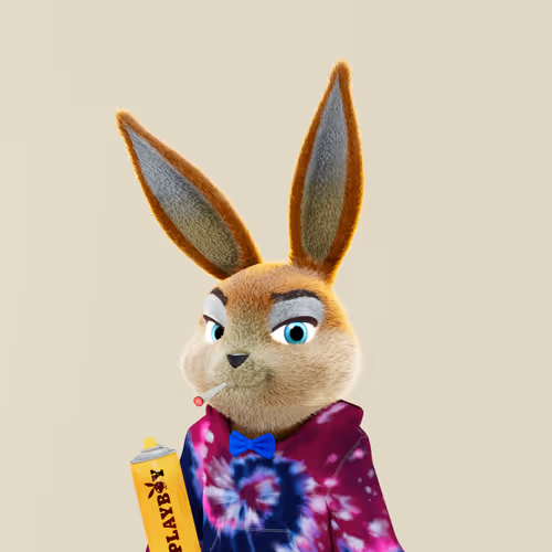 Playboyrabbitars