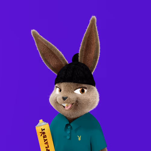 Playboyrabbitars