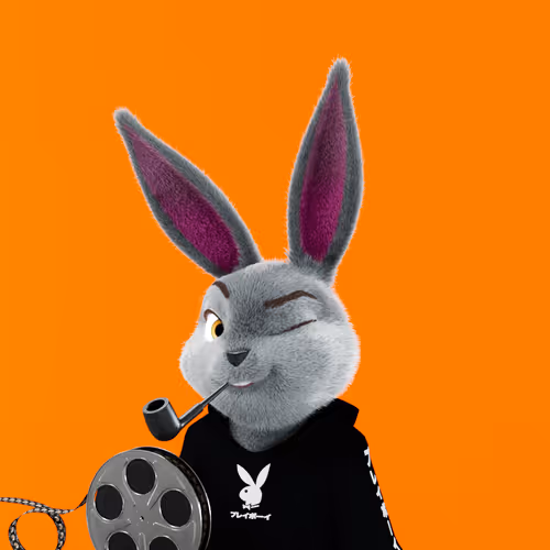 Playboyrabbitars
