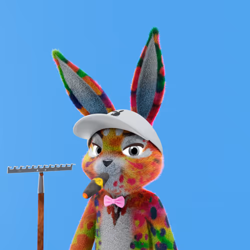 Playboyrabbitars