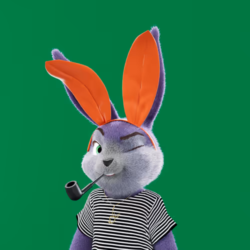 Playboyrabbitars