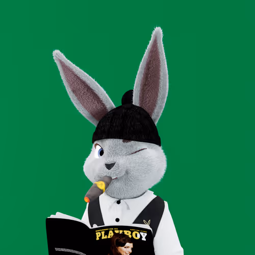 Playboyrabbitars