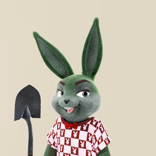Playboyrabbitars