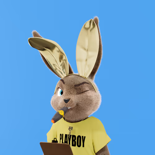 Playboyrabbitars