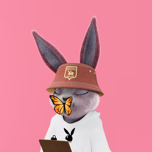 Playboyrabbitars