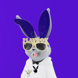 Rabbitar #8663