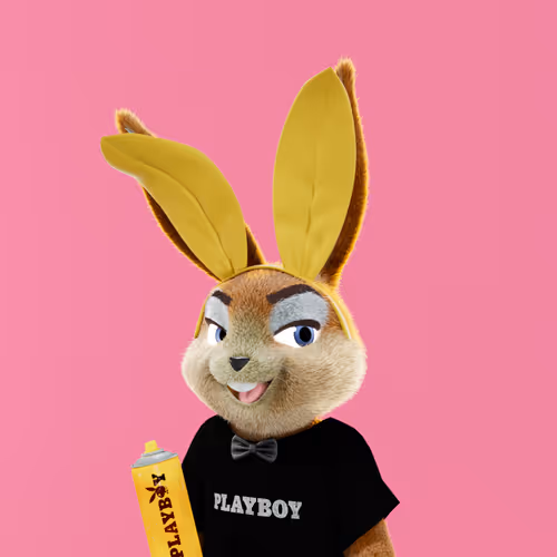 Playboyrabbitars