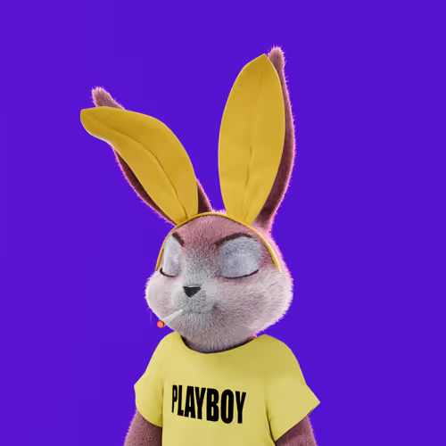 Playboyrabbitars