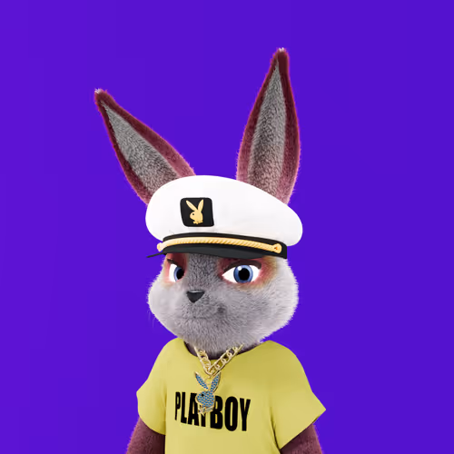 Playboyrabbitars