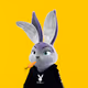 Rabbitar #8687