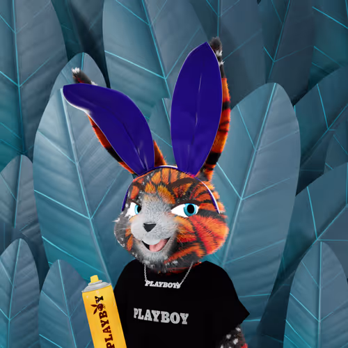Playboyrabbitars