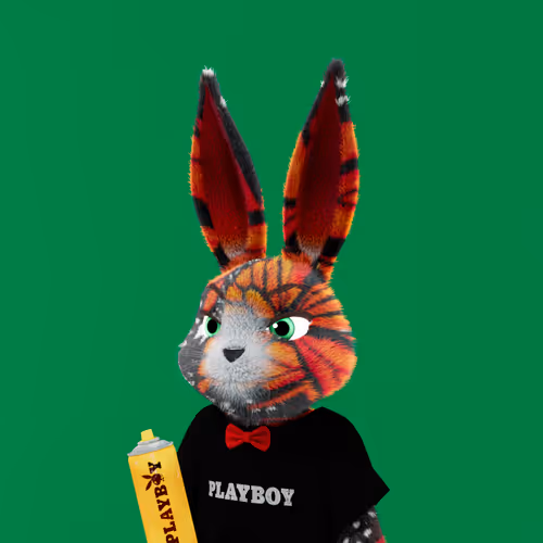 Playboyrabbitars