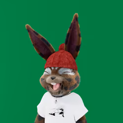 Rabbitar #5347