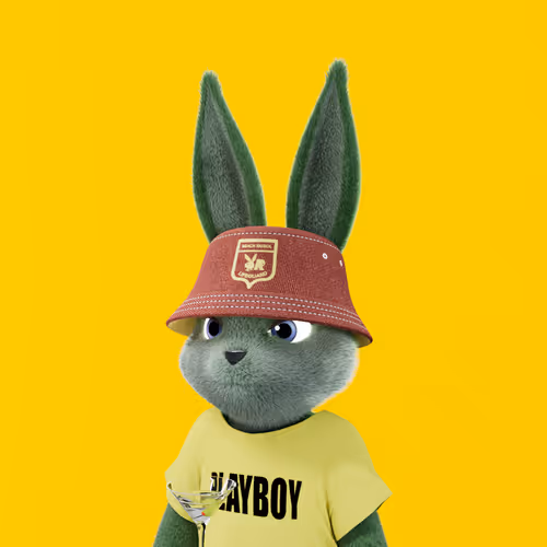 Playboyrabbitars