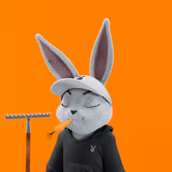 Rabbitar #6537