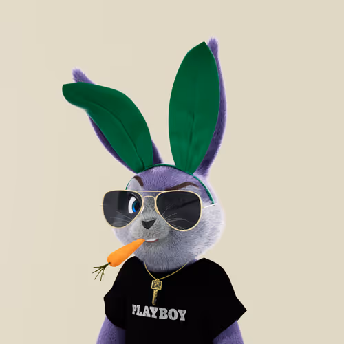 Playboyrabbitars