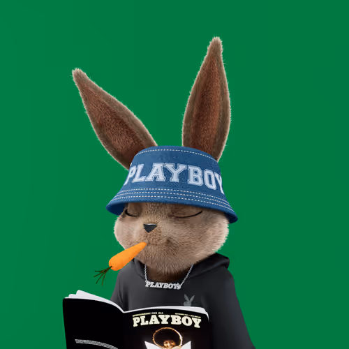 Playboyrabbitars