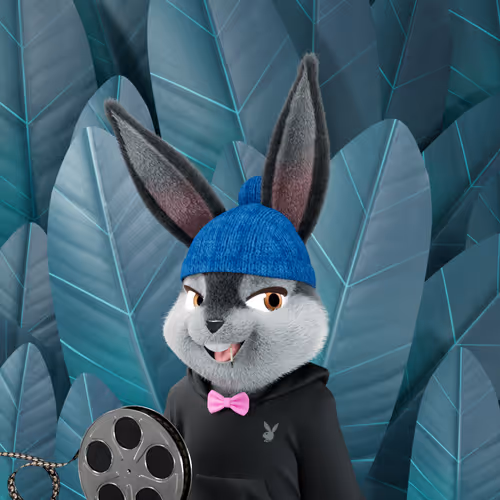 Playboyrabbitars