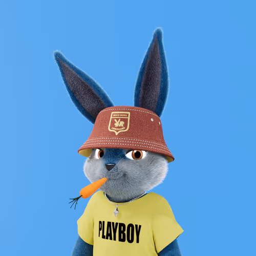 Playboyrabbitars