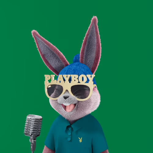 Playboyrabbitars