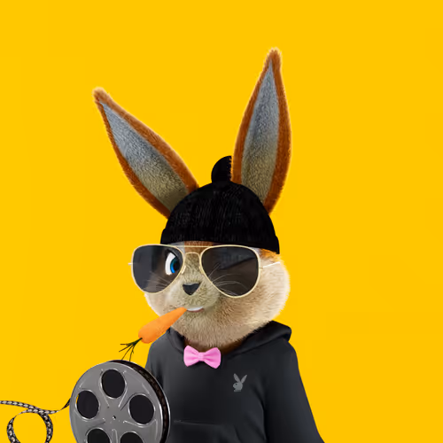Playboyrabbitars