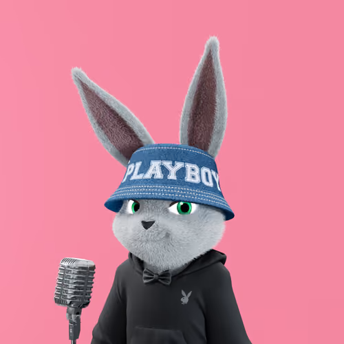 Rabbitar #5116