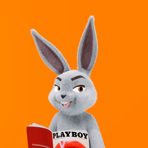 Playboyrabbitars