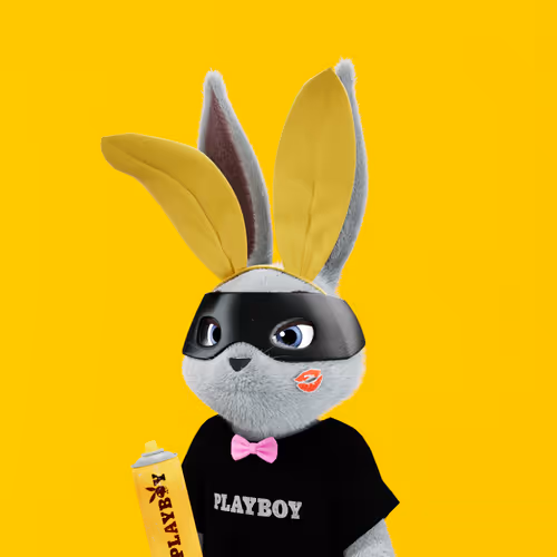 Playboyrabbitars