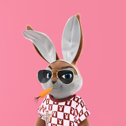 Rabbitar #3727