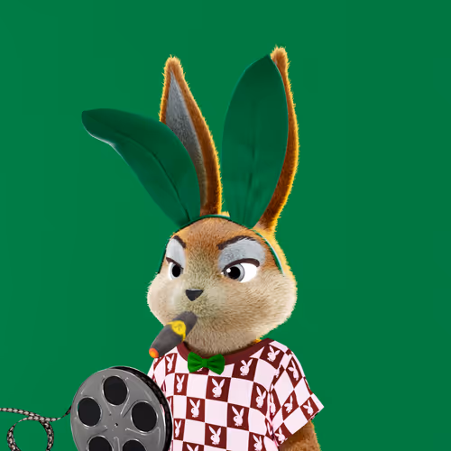 Playboyrabbitars