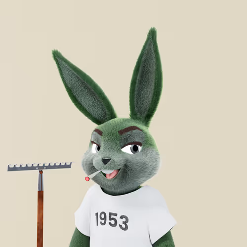 Playboyrabbitars