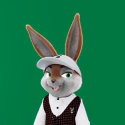Rabbitar #9622